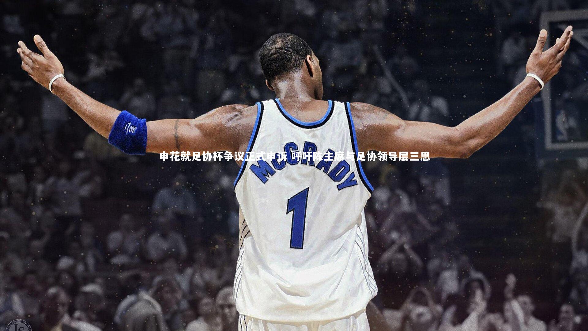 申花就足协杯争议正式申诉 呼吁陈主席与足协领导层三思